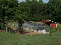 Outdoor Kennel